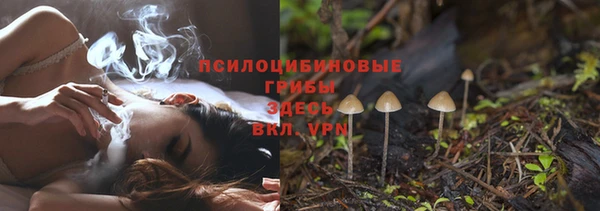 стаф Богородицк