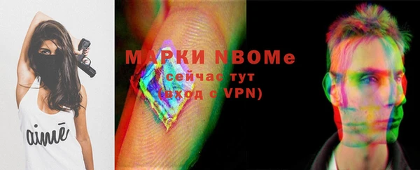 apvp Богородск