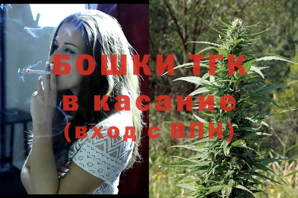 стаф Богородицк