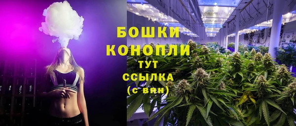 apvp Богородск