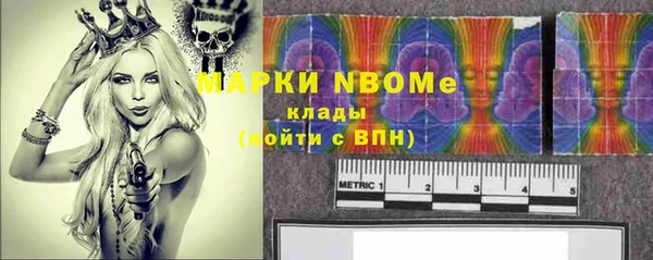 стаф Богородицк