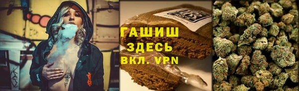 стаф Богородицк