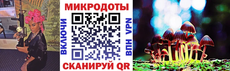 omg   Среднеуральск  Галлюциногенные грибы GOLDEN TEACHER 